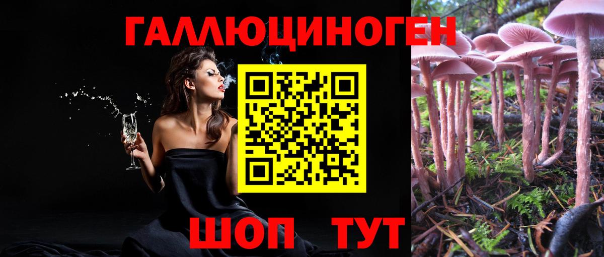 Чита  Псилоцибиновые грибы прущие грибы  Вход с VPN 